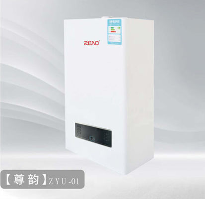 24KW 天然ガスまたはPLG コンビボイラー